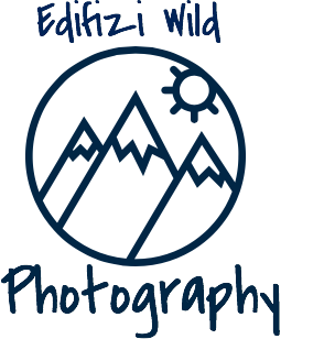 Edifizi Wild Photography