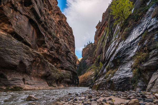 The Narrows Zion NP