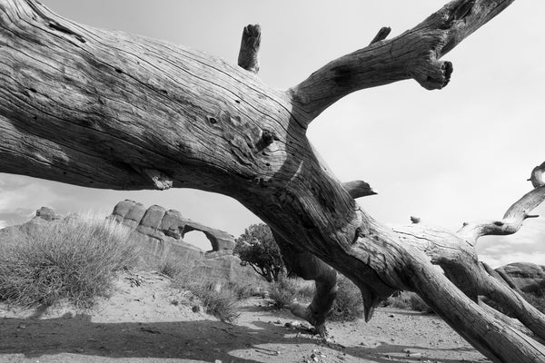 Arches NP