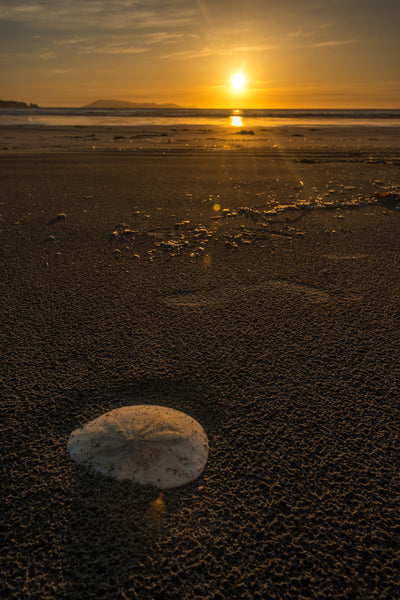 Cape Scott  Sunset