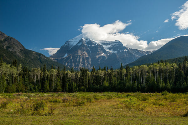 Mt. Robson "The King"