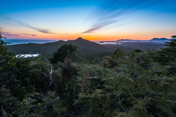 Above It All Tofino