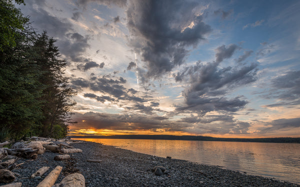 Cormorant Sunset