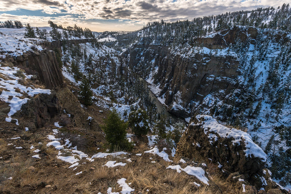 Grand Canyon Of The Yellowstone